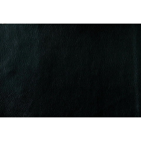 Jarita Black Reclining Sofa - bellafurnituretv